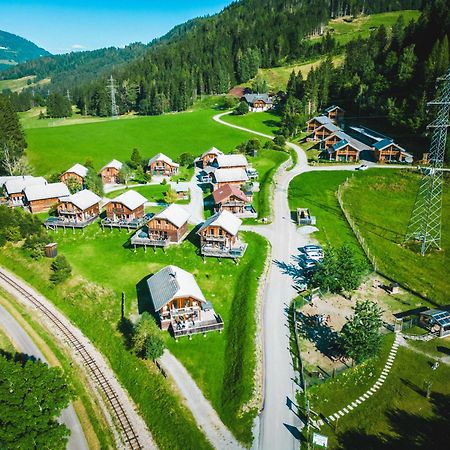 Woody Park Villa Sankt Georgen ob Murau Ngoại thất bức ảnh