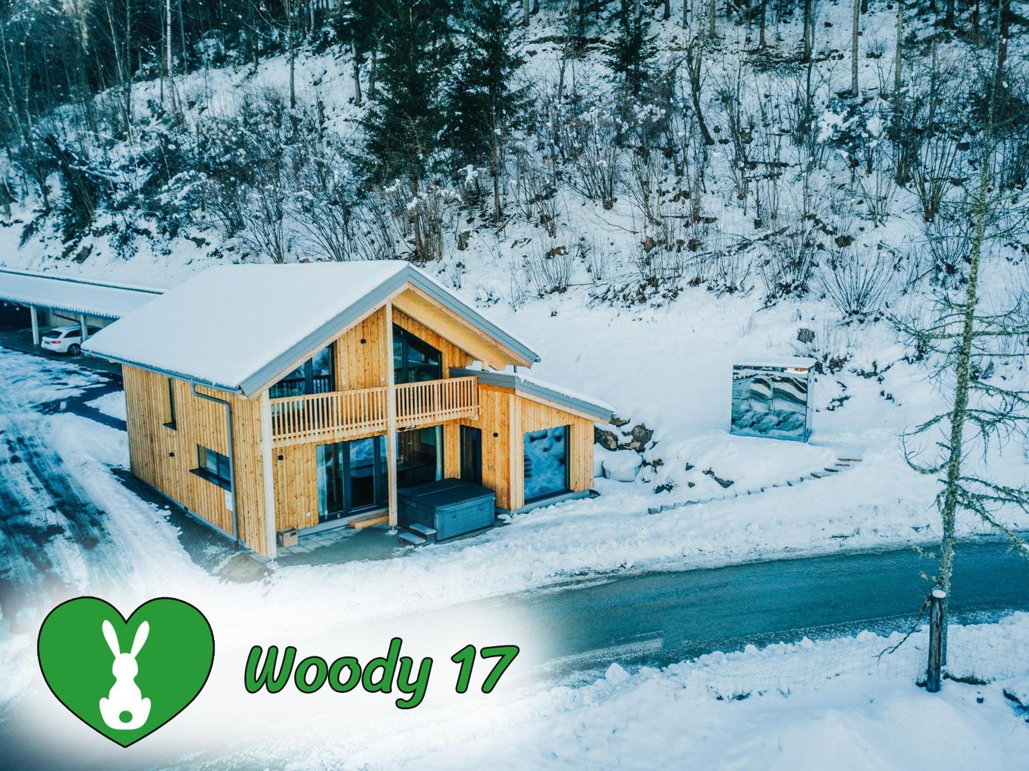 Woody Park Villa Sankt Georgen ob Murau Ngoại thất bức ảnh