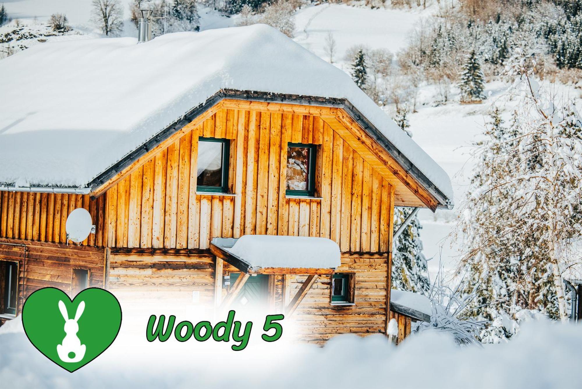 Woody Park Villa Sankt Georgen ob Murau Ngoại thất bức ảnh